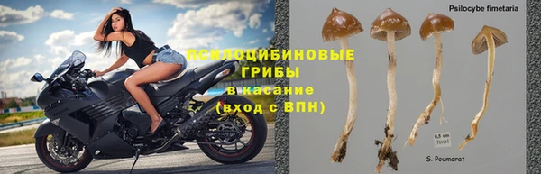 не бодяженный Абдулино