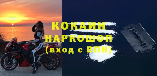 шишки Абаза