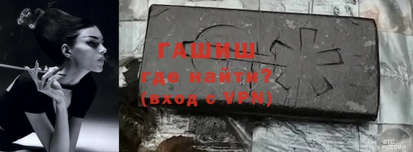 шишки Абаза