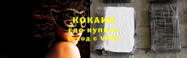 шишки Абаза