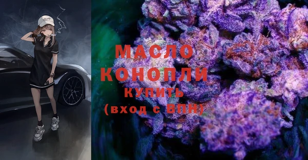 шишки Абаза