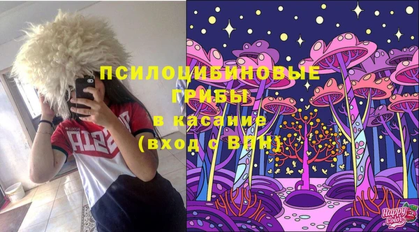 шишки Абаза