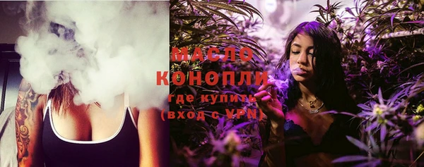 шишки Абаза