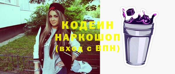 шишки Абаза