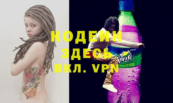 шишки Абаза