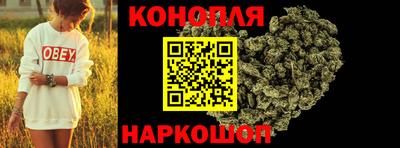 крисы Малгобек