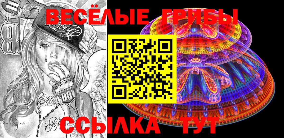 магазин    Псилоцибиновые грибы Cubensis  Вход с VPN  Тверь 